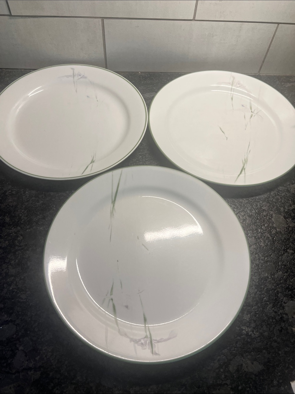 Set of 3 10” Corelle Shadow Iris Dinner Plates - Set of 3. Preloved